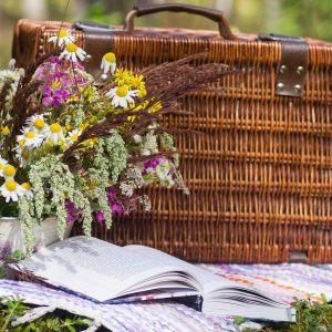 Pique-Nique Gourmand (2 personnes)